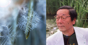Discoveries of Masaru Emoto about the Memory and Member of Water